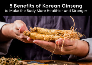 5 Benefits of Korean Ginseng to Make the Body More Healthier and Stronger